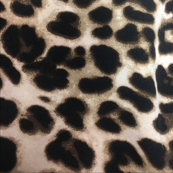 New York and Company Animal Print Cheetah - Picture 5 of 6